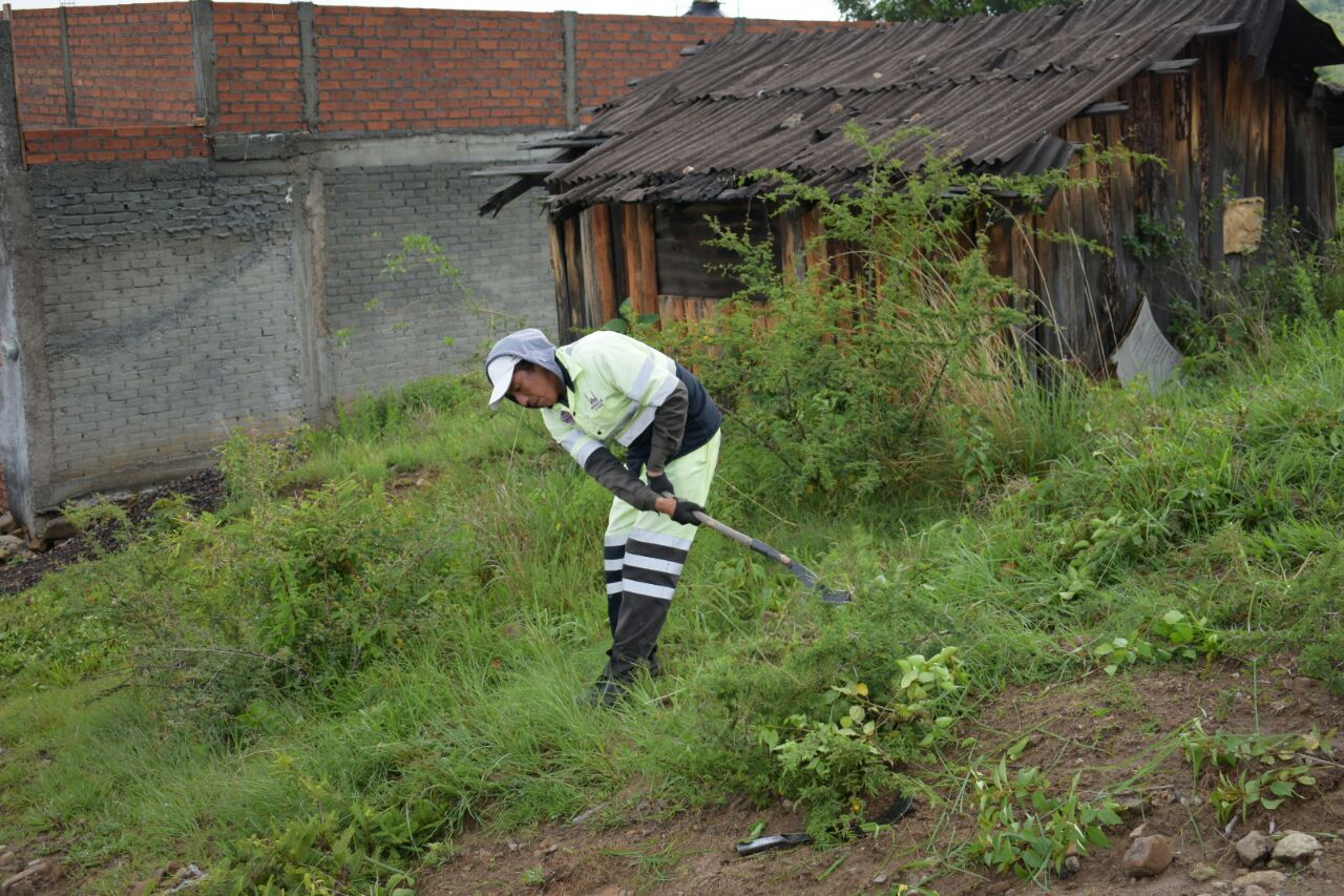 Gobierno municipal y trabajadores sincronizan esfuerzos a favor del medio ambiente.