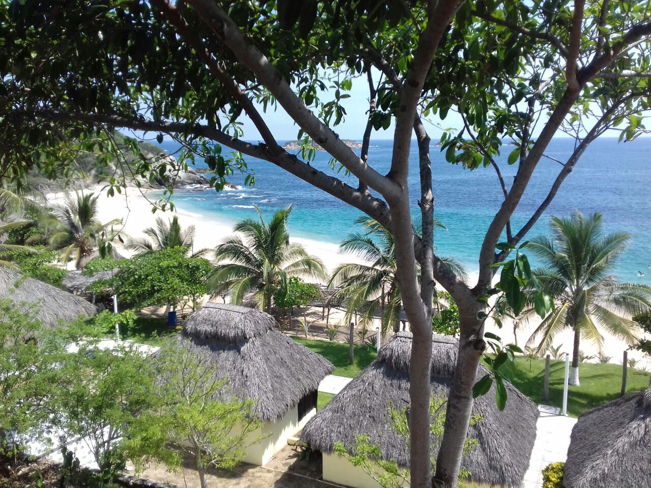 La Costa michoacana, belleza en su estado más puro: Sectur