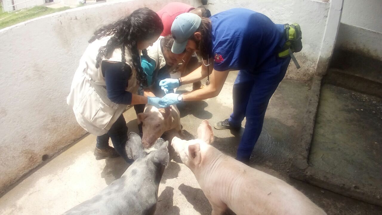 Zoológico de Morelia realiza labor social en Casa Hogar «Vivan los niños»