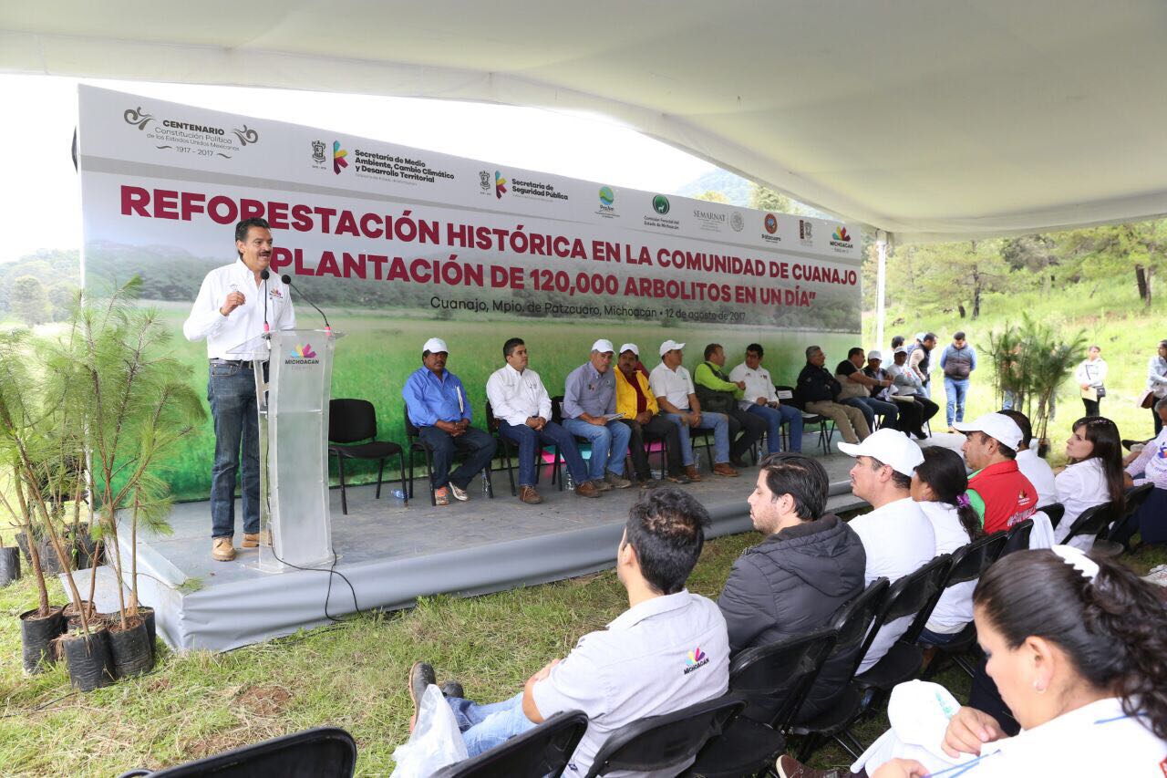 Histórica jornada de reforestación en Cuanajo: sembrados, 120 mil arbolitos