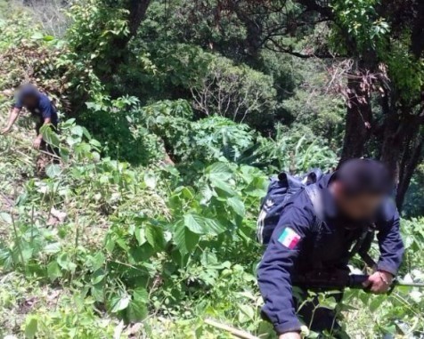 Da SSP resultados en operativos contra la delincuencia