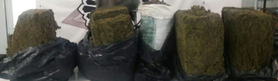 Detiene SSP a una persona con 40 kilos de marihuana en Jacona