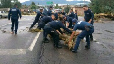 Apoya SSP con labores de limpieza y víveres a damnificados en Tlazazalca