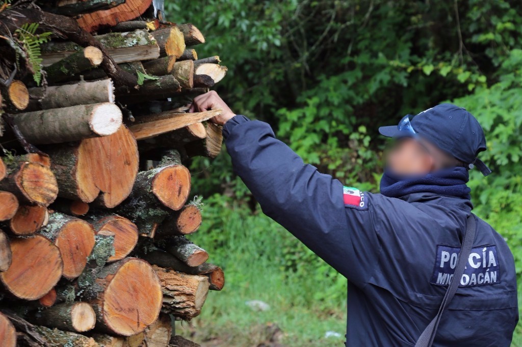 SSP combate delitos contra el medio ambiente