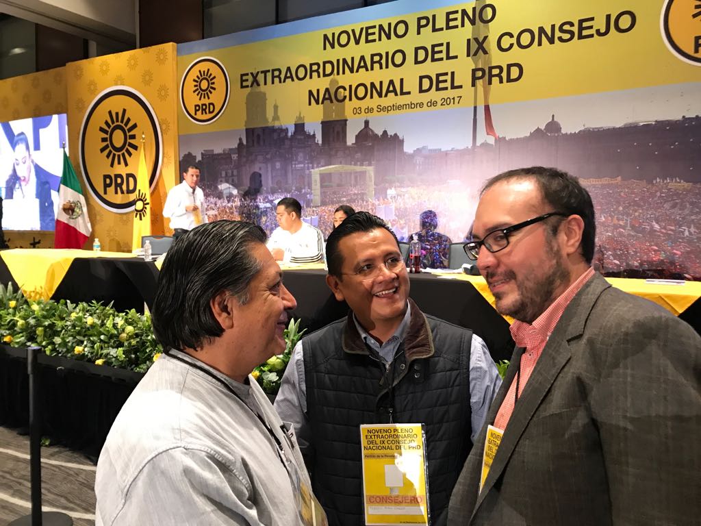 PRD sigue siendo la estructura de izquierda más fuerte de México: Torres Piña