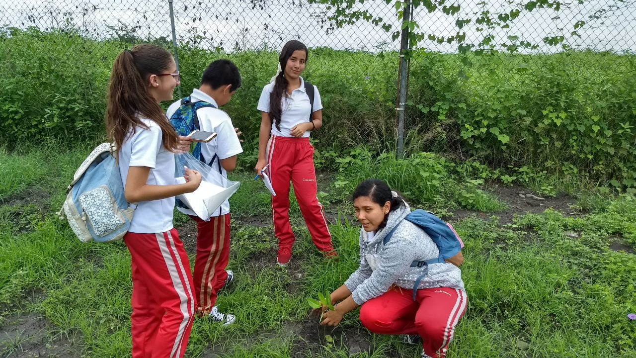 Gobierno de Múgica lleva acabo reforestación