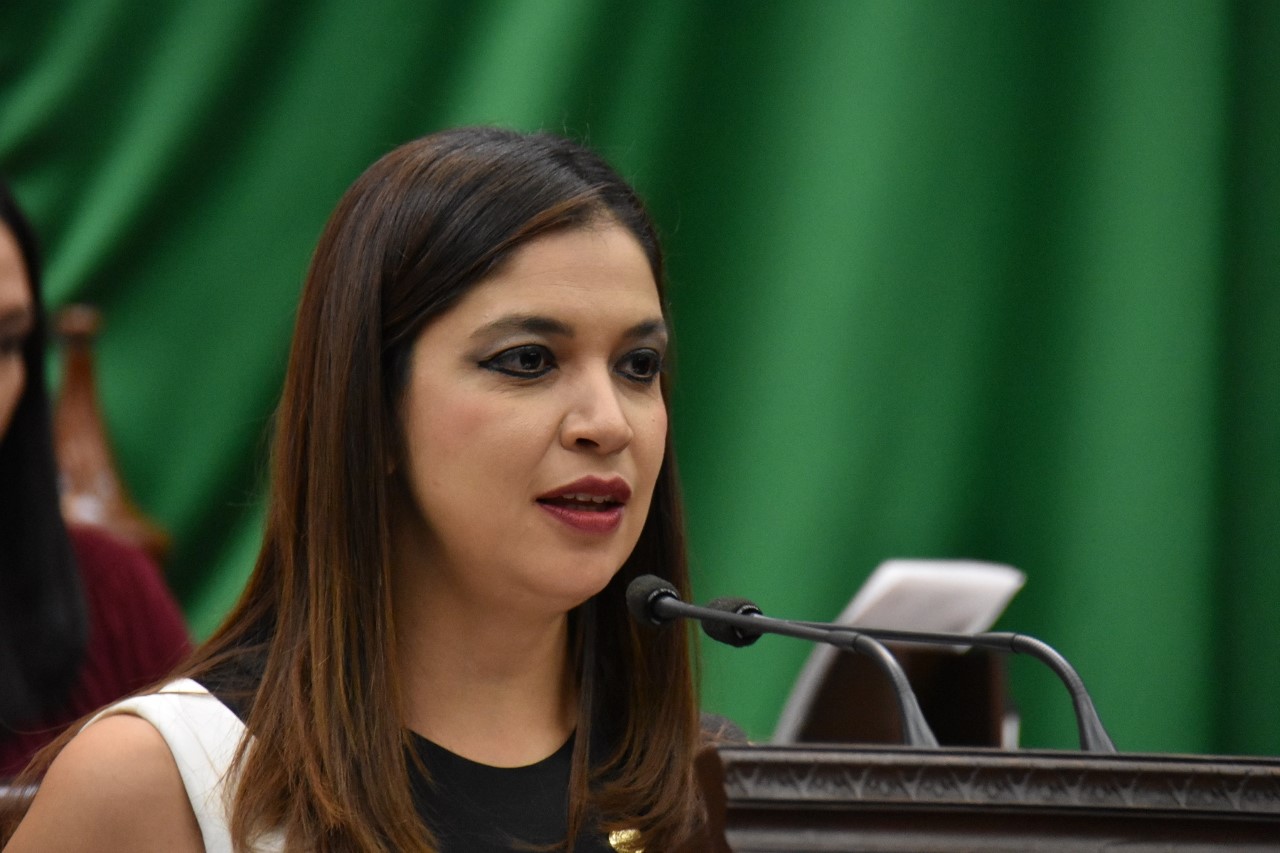 Sanciones ejemplares contra falsificadores: Rosy Miranda