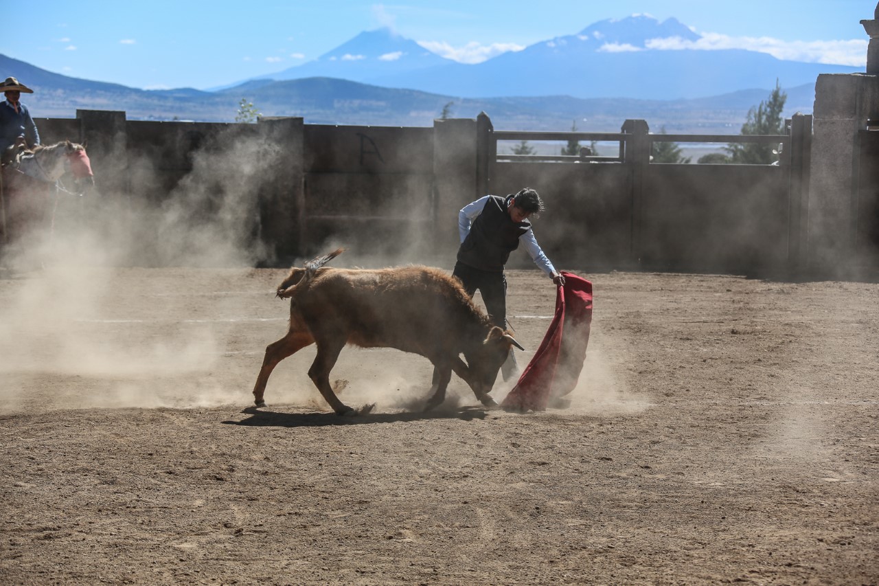 Motivado Silveti para la corrida de noche de muertos en Morelia.