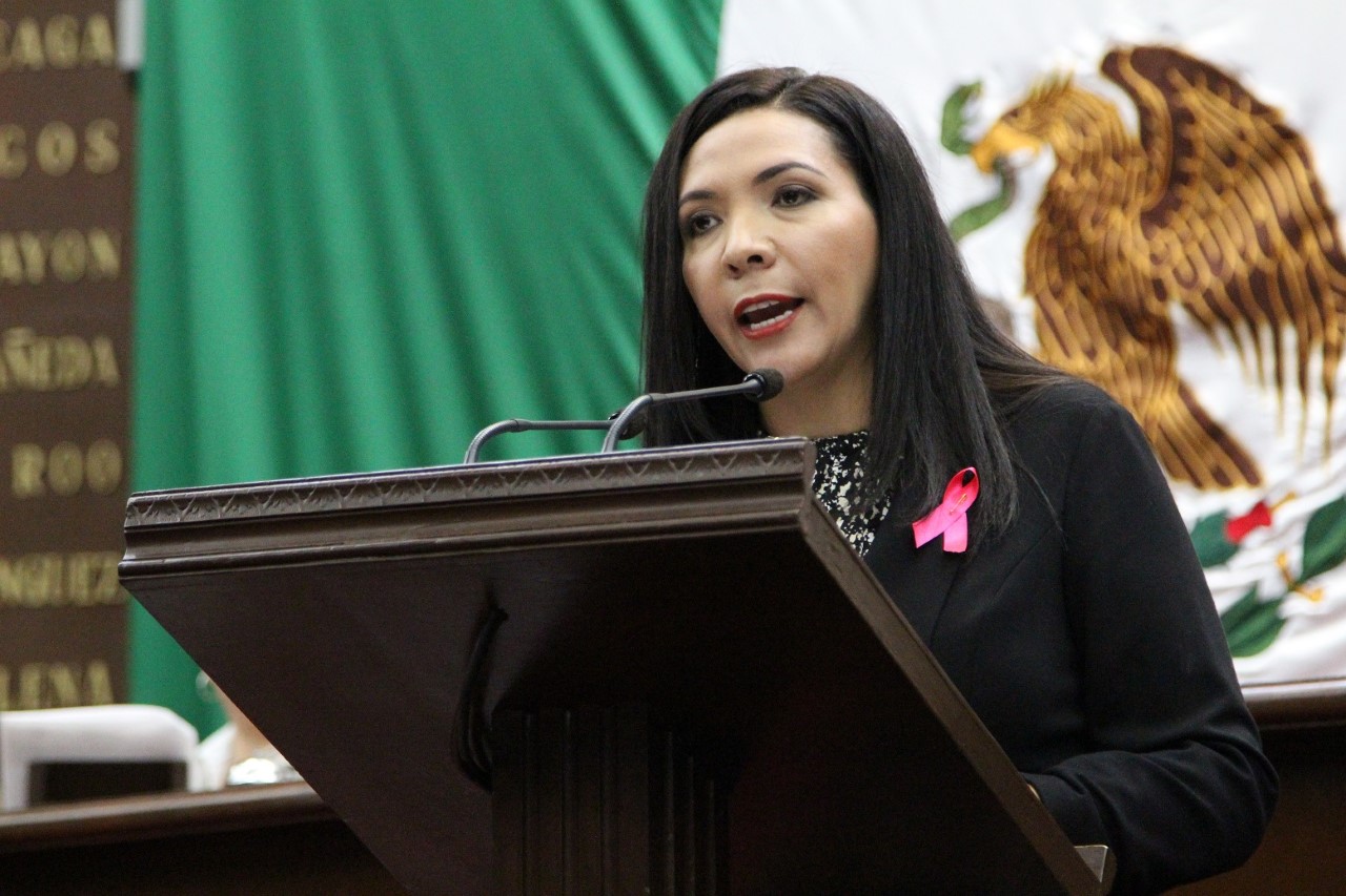 Organizaciones civiles ayudan a impulsar avances en el Estado: Adriana Campos