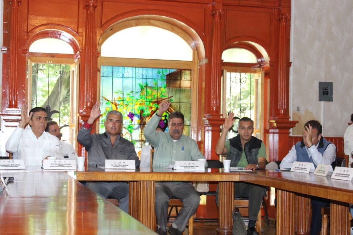 Cofom, por darle valor agregado a la producción forestal