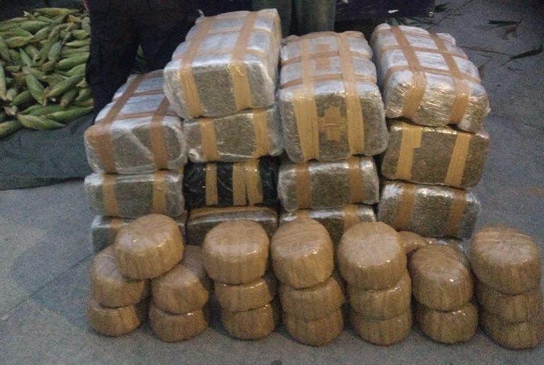SSP en Juárez 120 kilos de marihuana