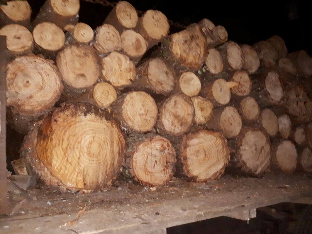 Asegura SSP a uno con camión y madera clandestina en Acuitzio