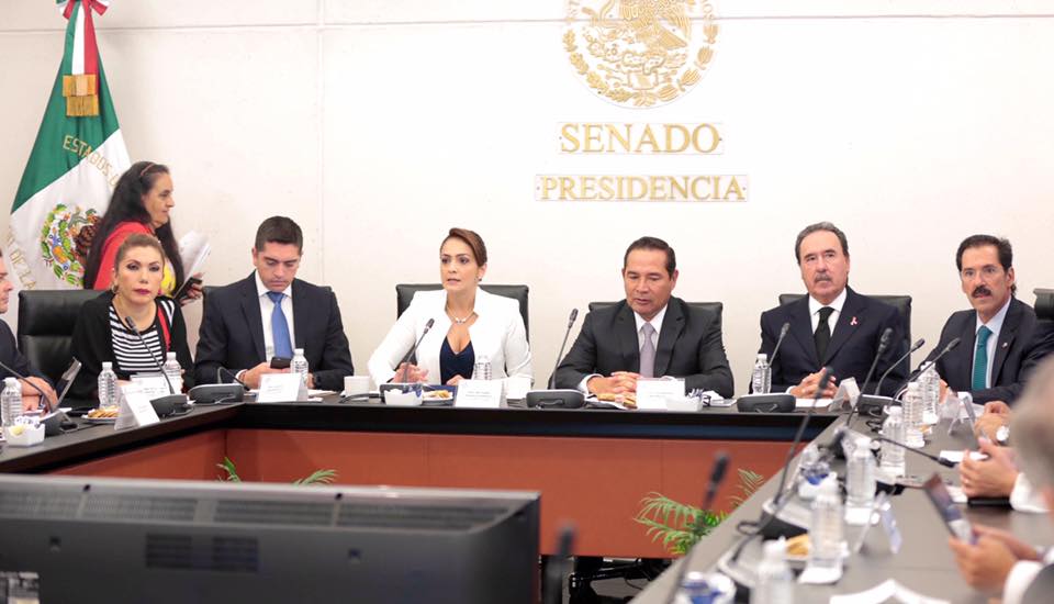 Realizará Senado Seminario Internacional de Sistemas de Información Social: Iris Vianey Mendoza.