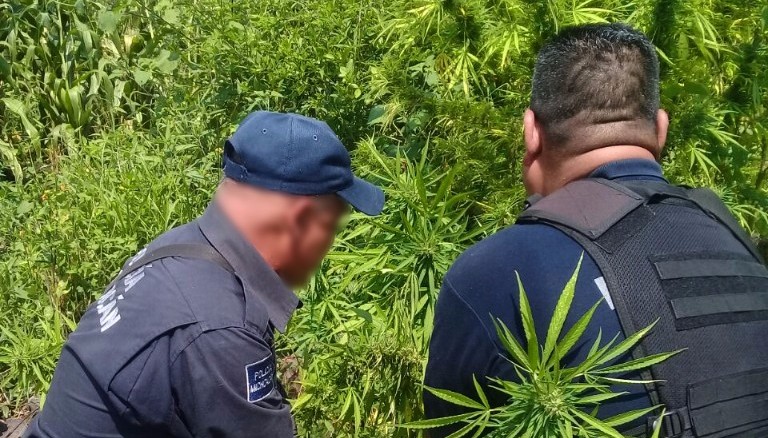 Da resultados operativo permanente de SSP en Michoacán