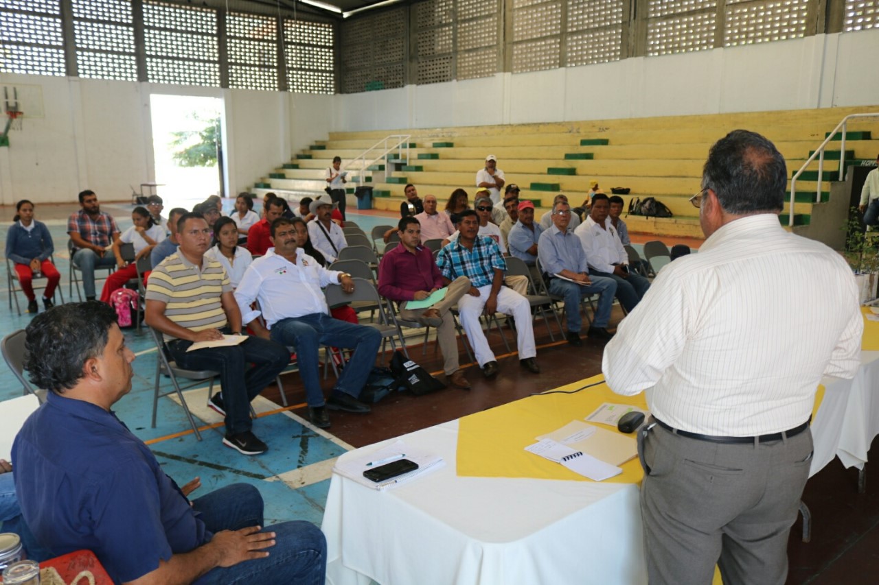 Gobierno de Múgica a favor del buen uso de terrenos forestales