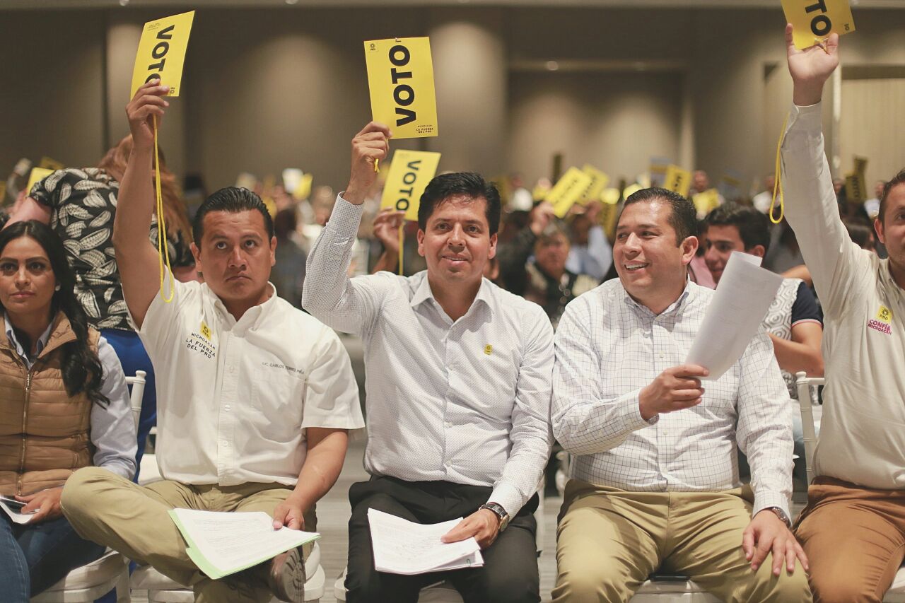 PRD Michoacán aprueba métodos de elección