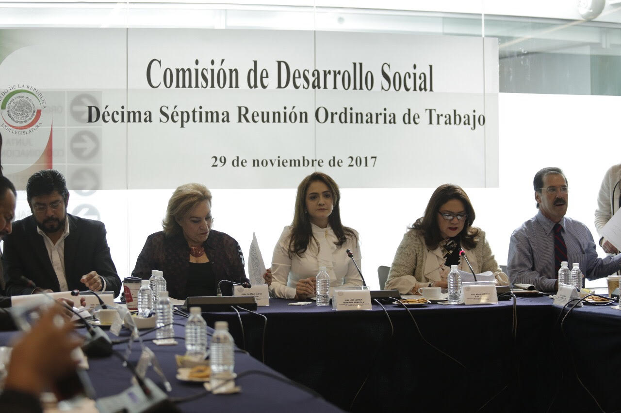 Encabeza Iris Vianey Mendoza Mendoza XVII reunión de la Comisión de Desarrollo Social.