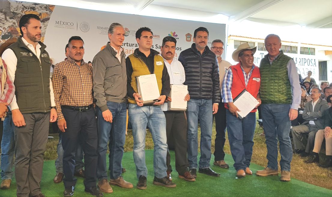 Todo listo para la apertura de los Santuarios de la mariposa Monarca