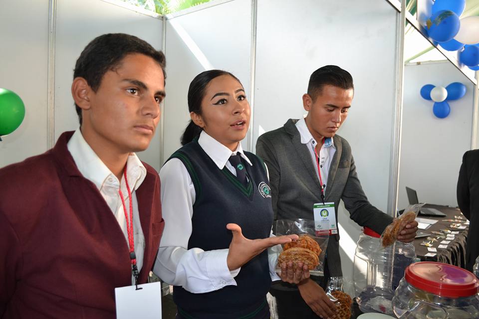 Alumnado de plantel La Piedad realiza proyectos productivos