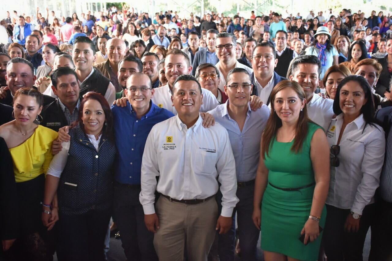 Todos los sectores ciudadanos tienen un espacio en el PRD: Torres Piña