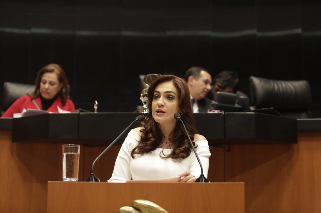 «Esta Ley niega el acceso a la justicia a las víctimas que quieran reclamar la responsabilidad patrimonial por hechos ilícitos del Ejército»