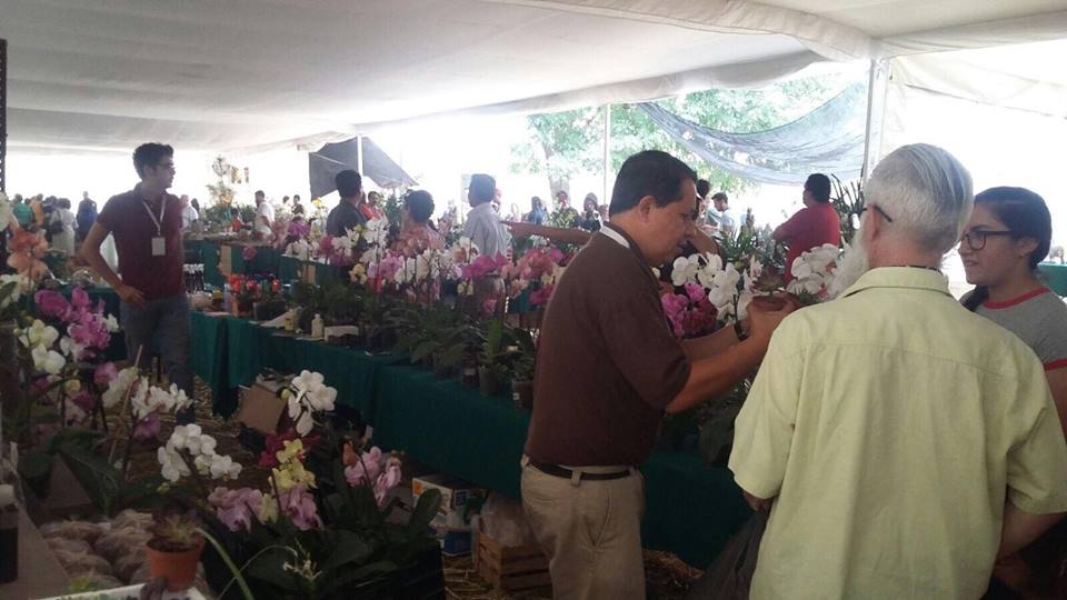 El Orquidario de Morelia, en el gusto de turistas nacionales y extranjeros