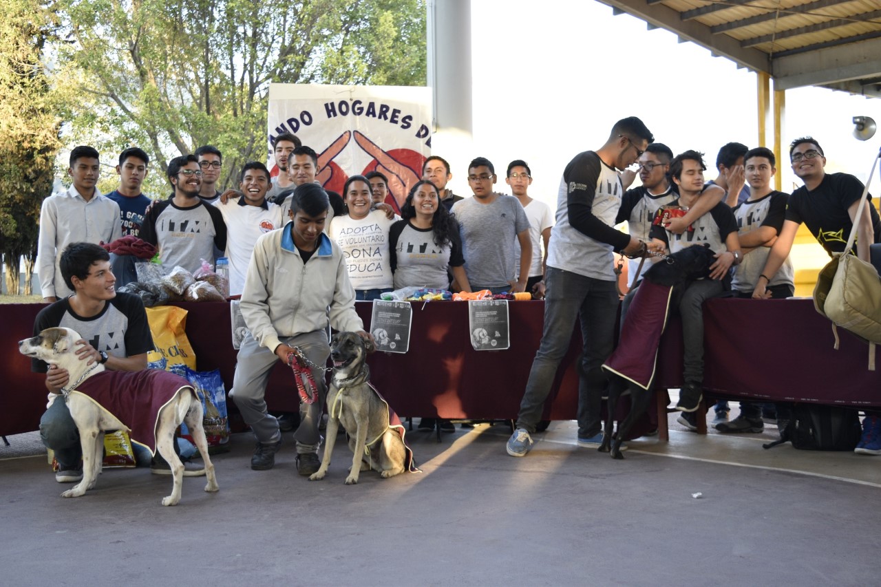 Apoyo social y exposición de proyectos concluyen semestre