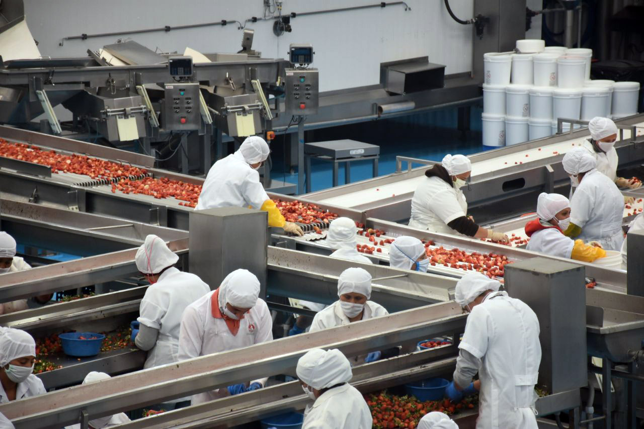 Registra Michoacán la tasa de desocupación más baja en 9 años