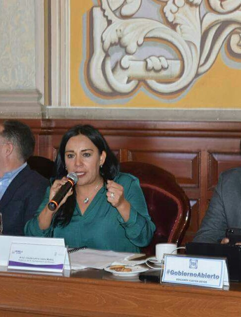 El futuro del PRI lo decide la militancia: CLM