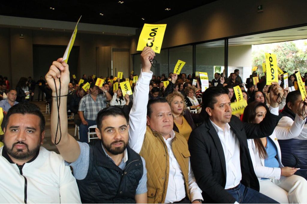 En Consejo, PRD elegirá solo a candidatos a Diputaciones Locales de Representación Proporcional: García Avilés