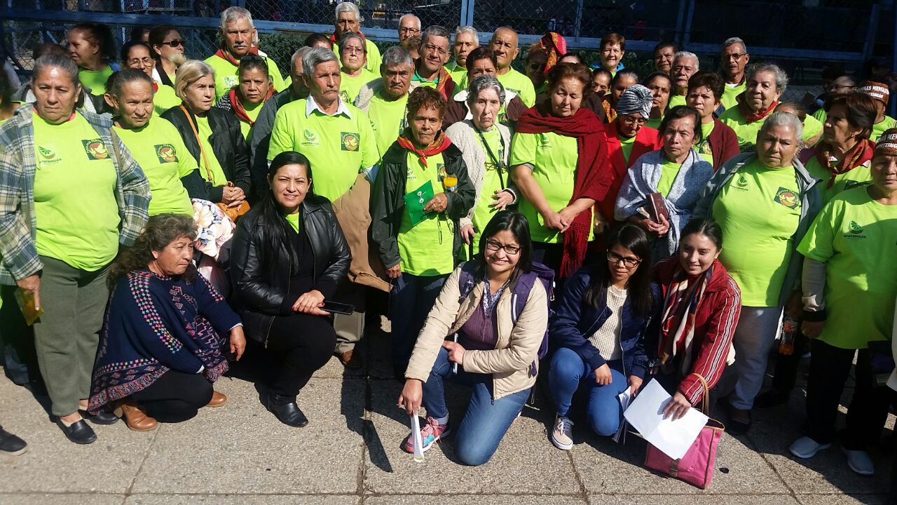 Aprueban 59 visas a través de Palomas Mensajeras