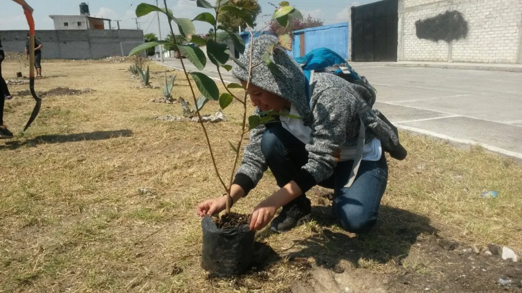 Mejora SSP calidad de vida de habitantes de Tarímbaro