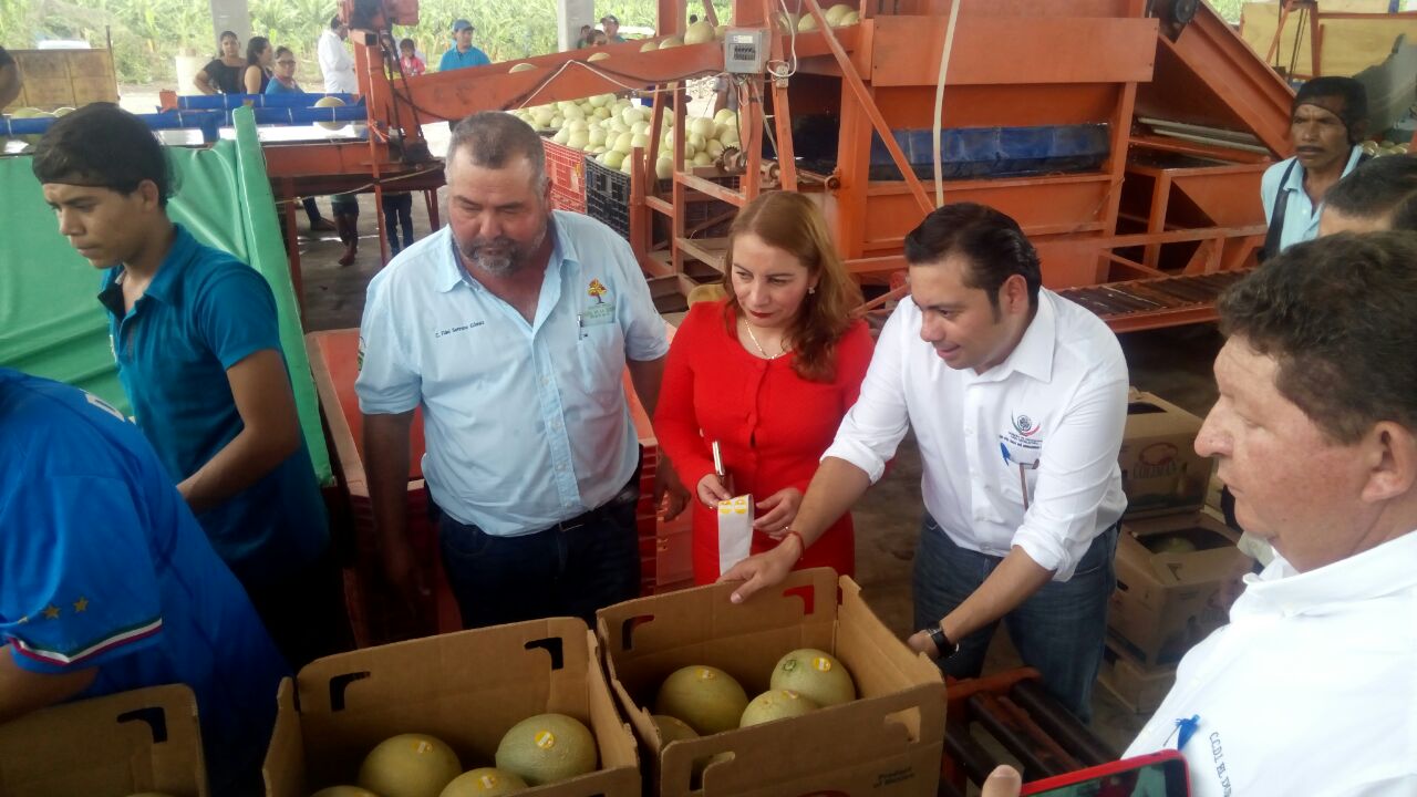 INAES contribuye a la exportación y producción de plátano