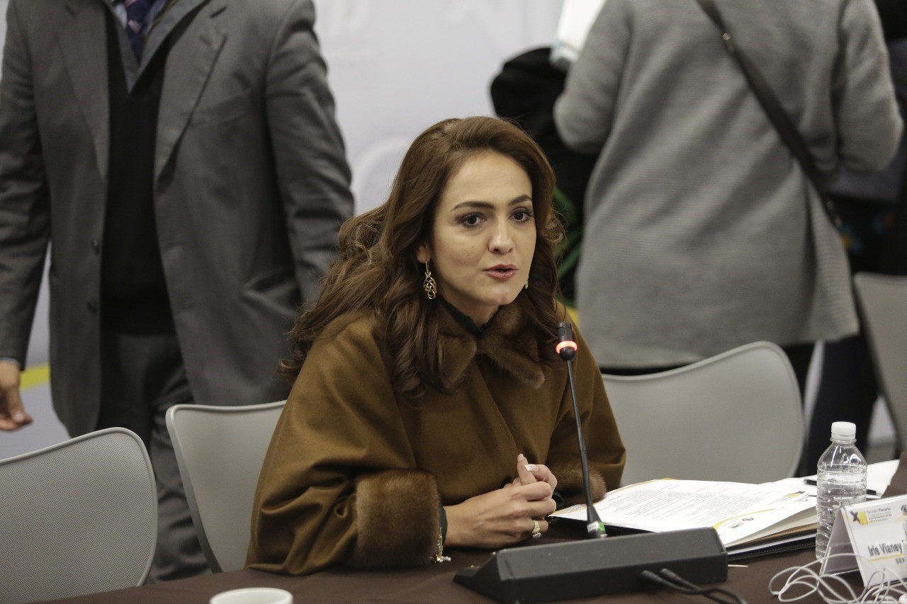 Grupo Parlamentario del PRD en el Senado priorizaremos 4 temas y 10 iniciativas en materia política: Iris Vianey Mendoza.