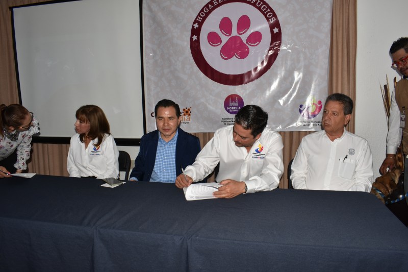 Ciudadanos Michoacanos en Movimiento busca hogar a animalitos desamparados