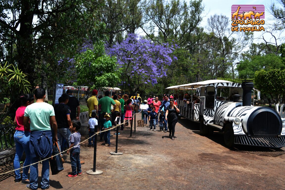 Más de 40 mil personas visitarán el Parque Zoológico estas vacaciones