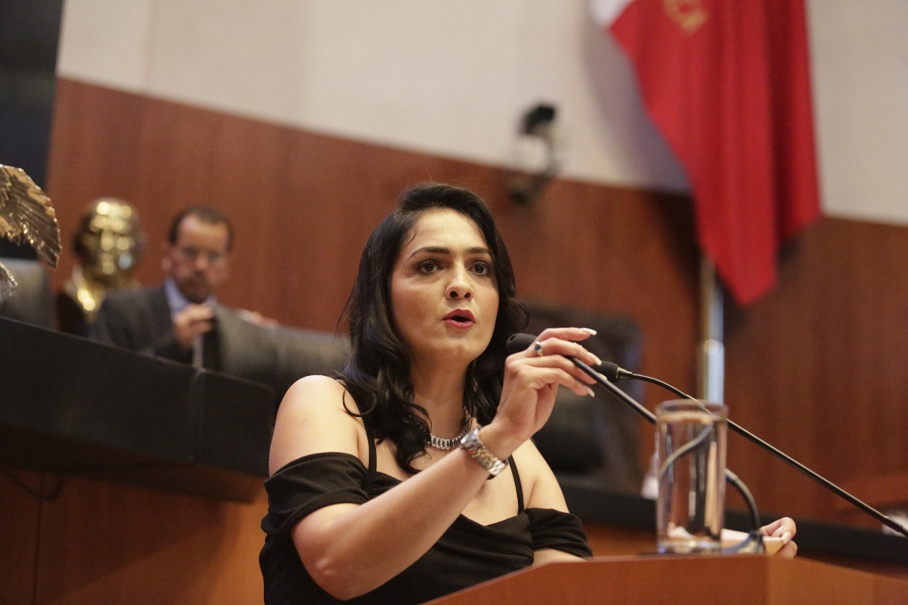 Exige Senadora Iris Mendoza crear Registro Federal de Deudores Alimentarios Morosos y poner requisito para aspirantes a cargos de elección popular de no ser deudor alimentario moroso.