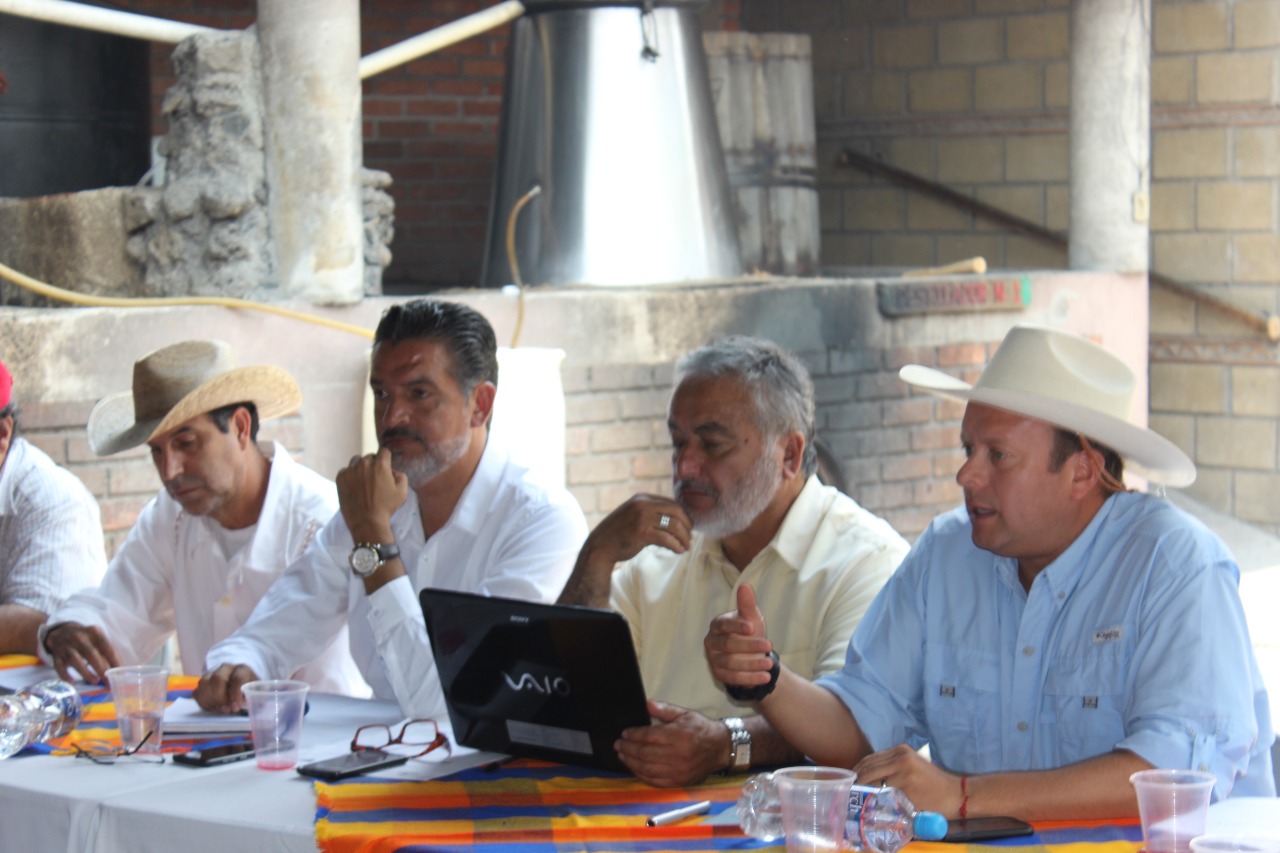 Autoridades ambientales, por la recuperación de bosques en Madero