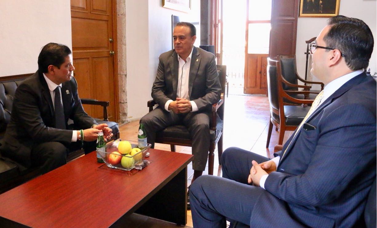 Se reúne secretario de Gobierno con líder del PVEM