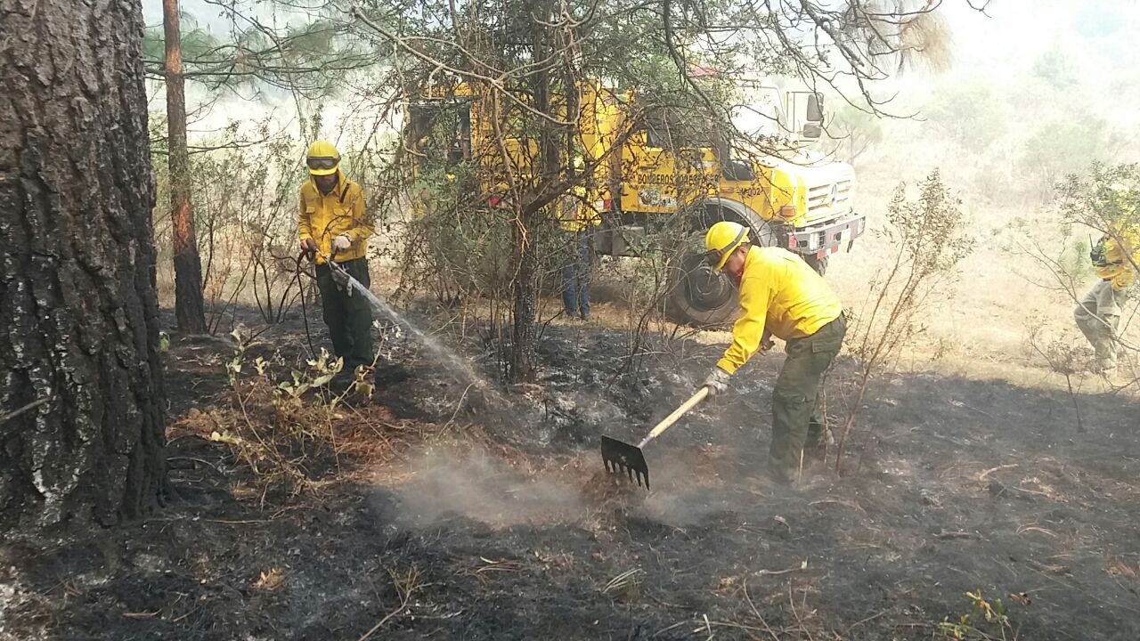 150 brigadistas combaten incendio en el Cerro del Tecolote: Cofom