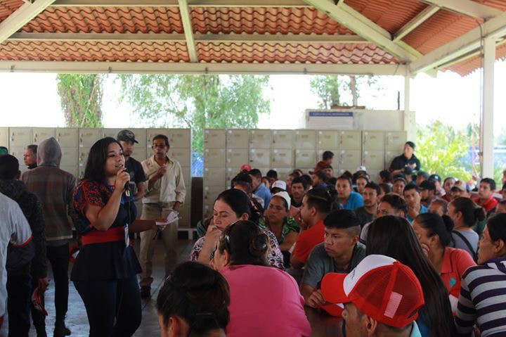 Urgente mejorar condiciones de trabajadores del sector agroindustrial: Xóchitl Ruiz