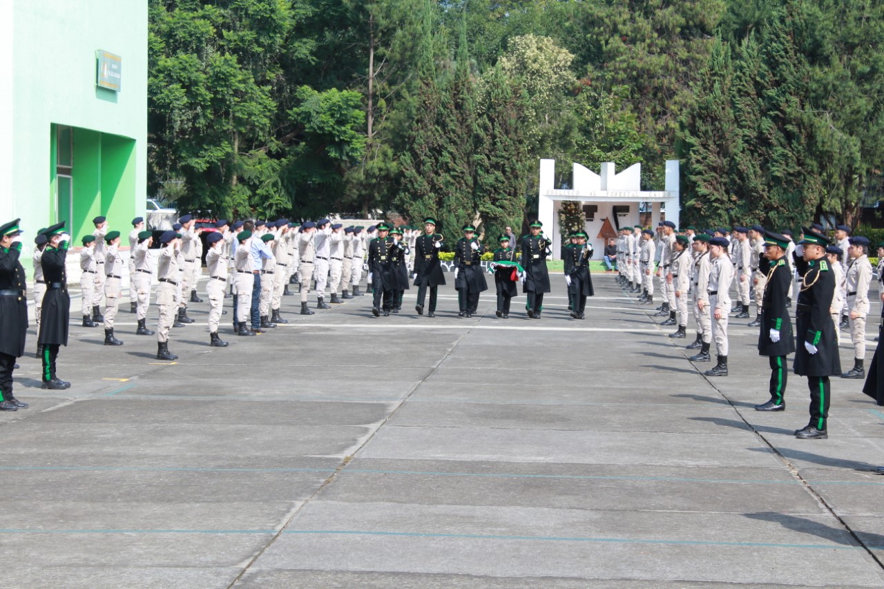 Convocan a jóvenes a formarse como técnicos forestales