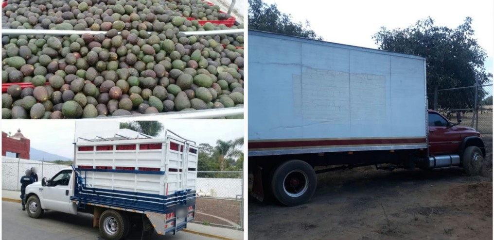 Recupera SSP camión con aguacate y detiene a dos en Uruapan