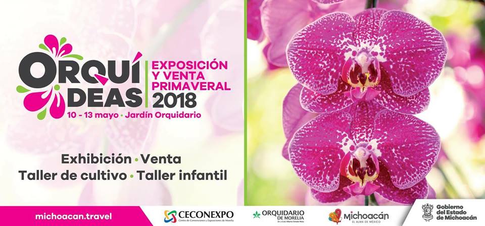 A partir de mañana, la Expo Orquídea en el Ceconexpo