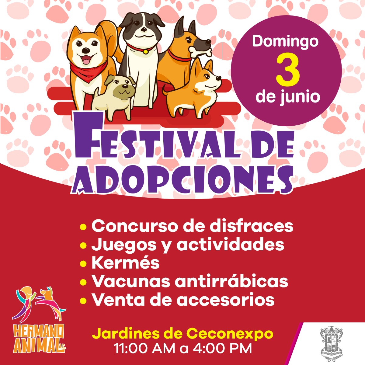 Invita al Festival de Adopciones de mascotas