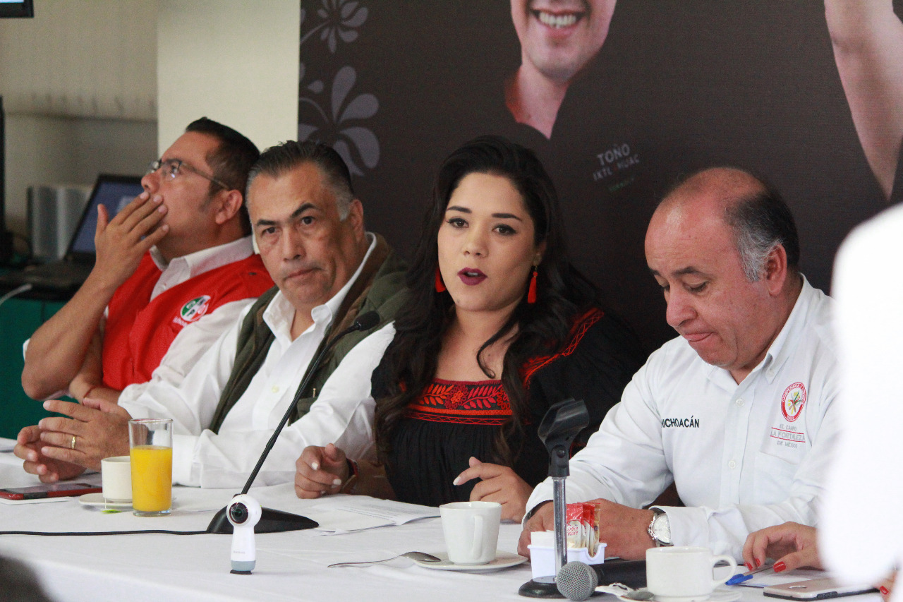 Niega Xóchitl Ruiz haber propuesto liquidar UMSNH; “Me acusan para curarse en salud”