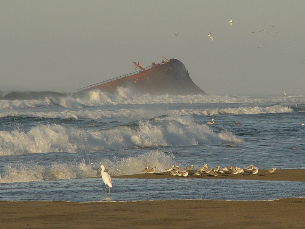 Betula, barco naufragado en la costa michoacana, se va con el huracán Bud