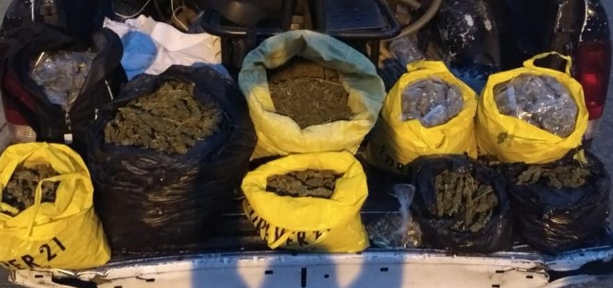 Asegura SSP a tres con 14 kilos de marihuana en Tanhuato
