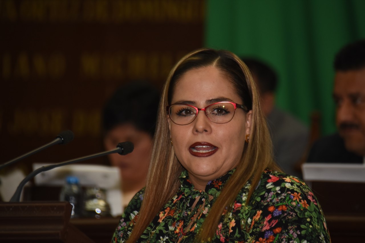 Necesario ampliar el término del bullying para abatir esta problemática: Eugenia Herrera