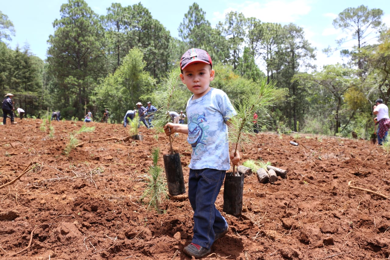 Arranca Campaña de Reforestación 2018 en Michoacán